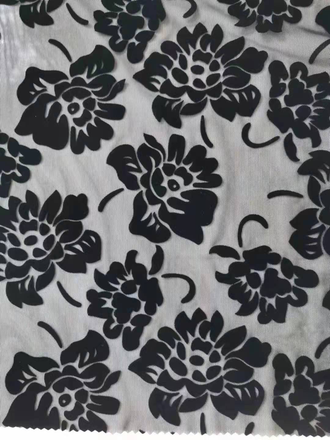QN-